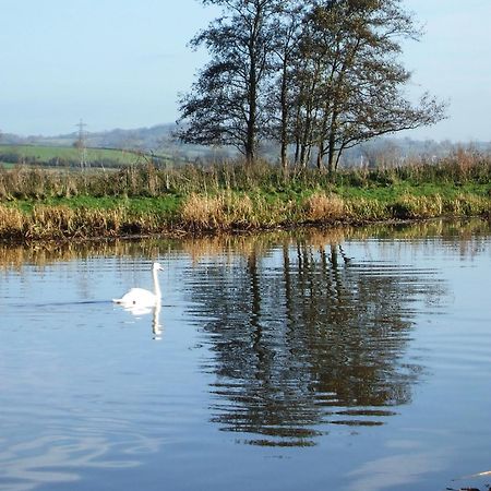 ברידג'ווטר The Bower Inn מראה חיצוני תמונה Swans on the River Wye